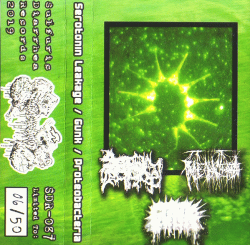 Serotonin Leakage : Serotonin Leakage - Gunk - Proteobacteria